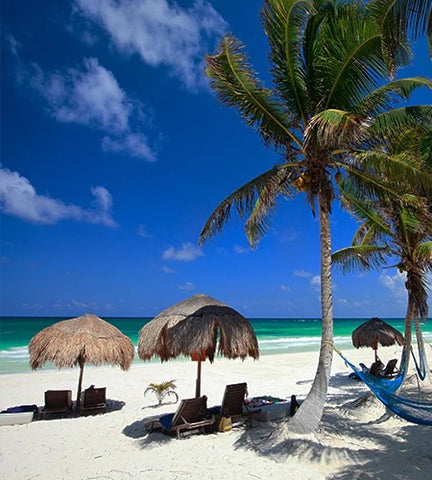 Themed design Backdrop