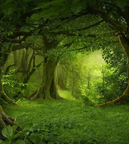 Themed design Backdrop