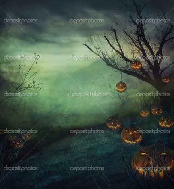 Grey Forest Pumpkin  Backdrop - Backdropsource