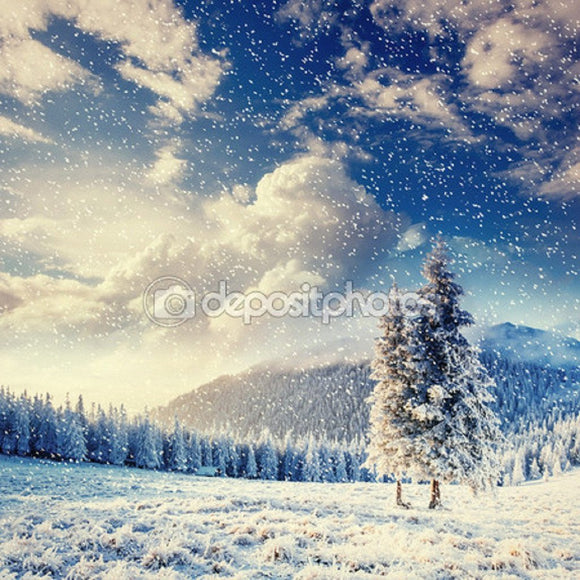 Landscape Winter Snow Trees  Backdrop - Backdropsource