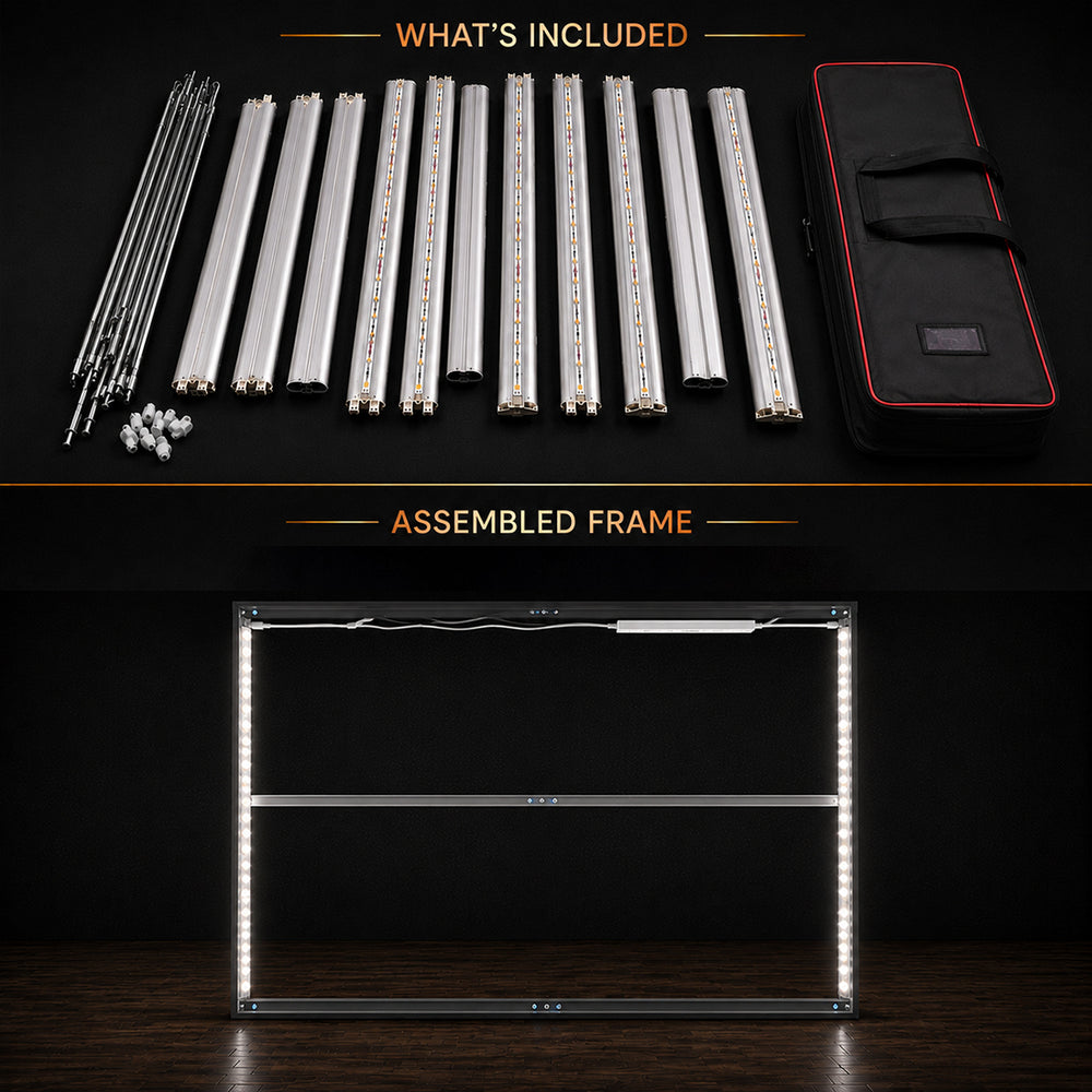 Wall-Mounted SEG Light Box