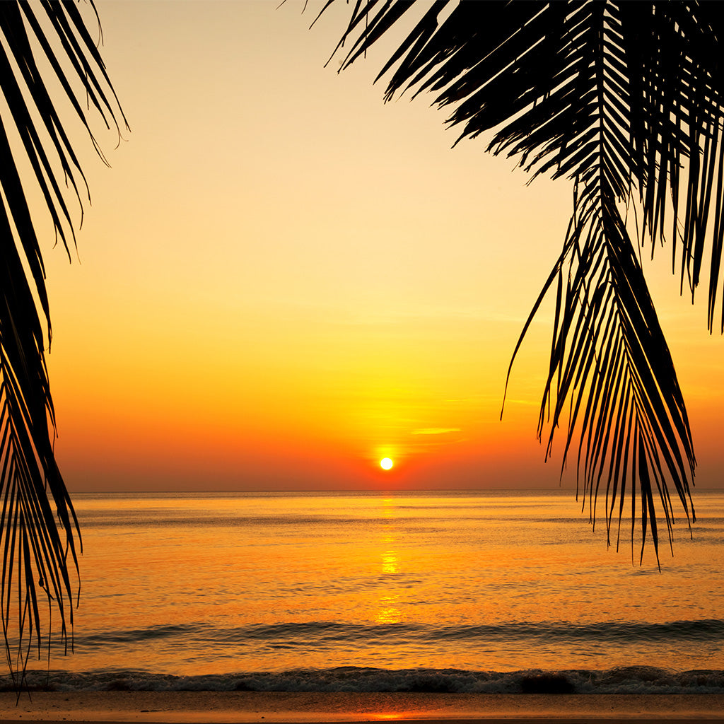 Tropical beach at beautiful sunset
