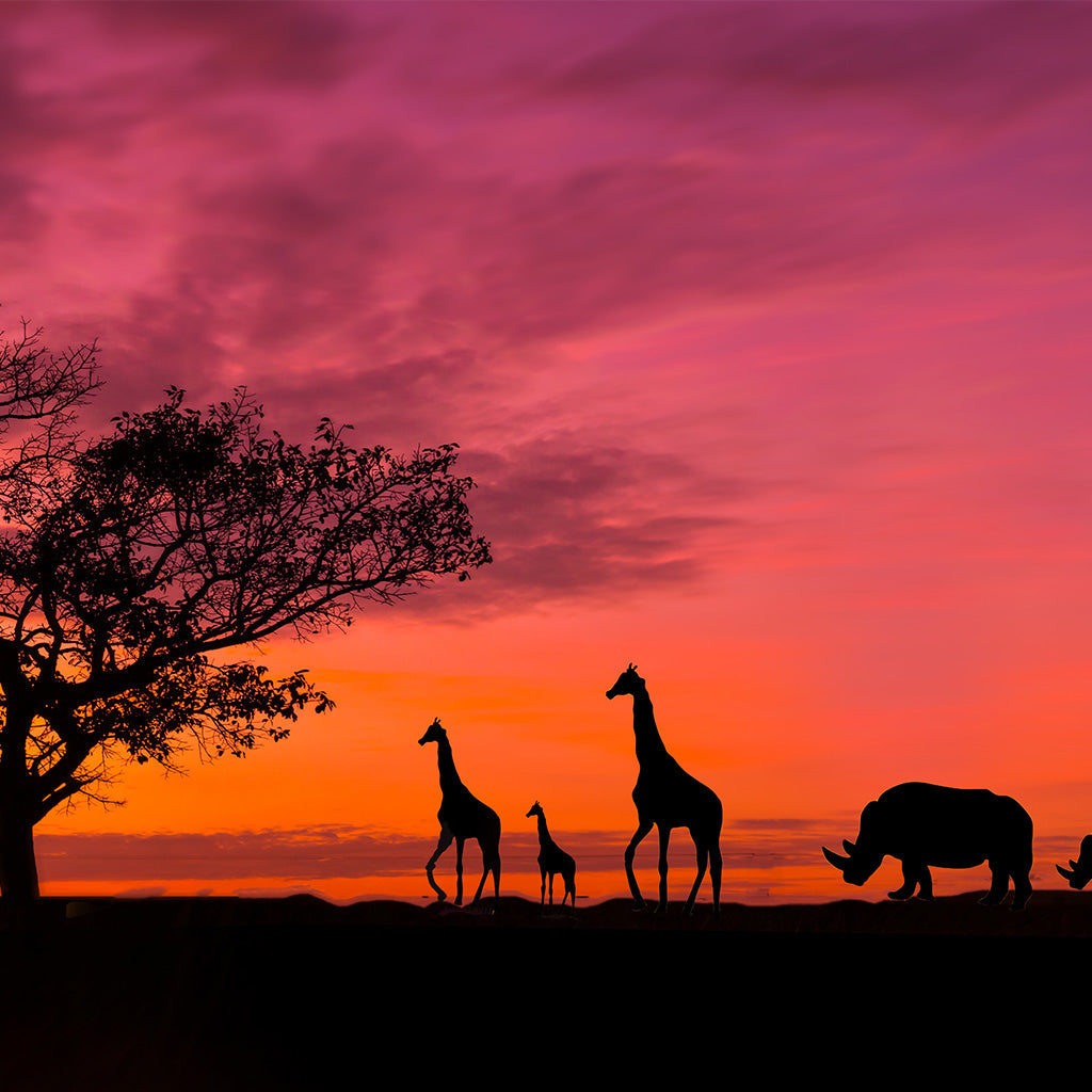 Panorama Silhouette Tree with Sunset Backdrop - Backdropsource