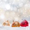 Abstract Christmas Photography Background