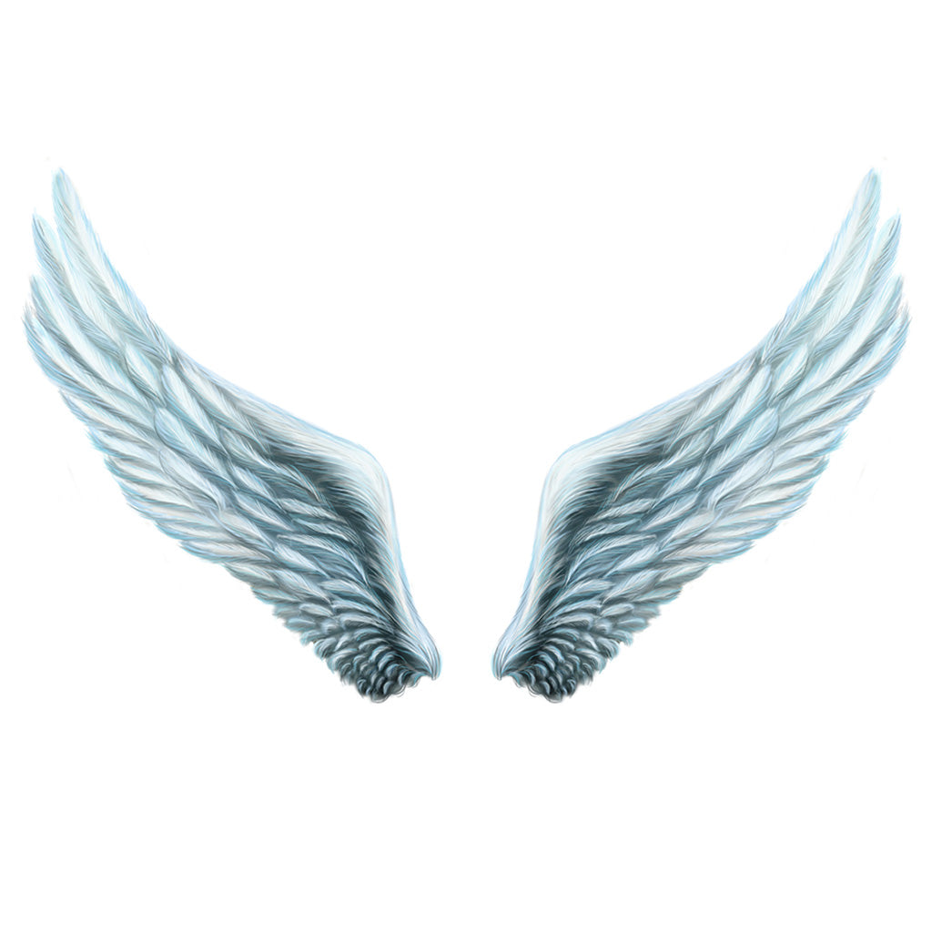 Internal White Angel Wing Plumage - Backdropsource