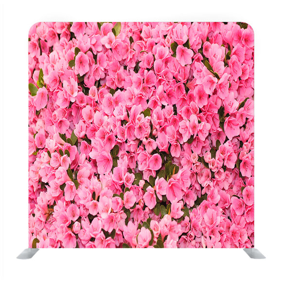 Azalea Flower Background Media Wall - Backdropsource