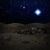Christmas Bethlehem Night Scene  Backdrop - Backdropsource