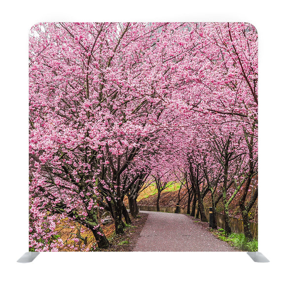Cherry Blossoms In Wuling Farm Background Media Wall - Backdropsource