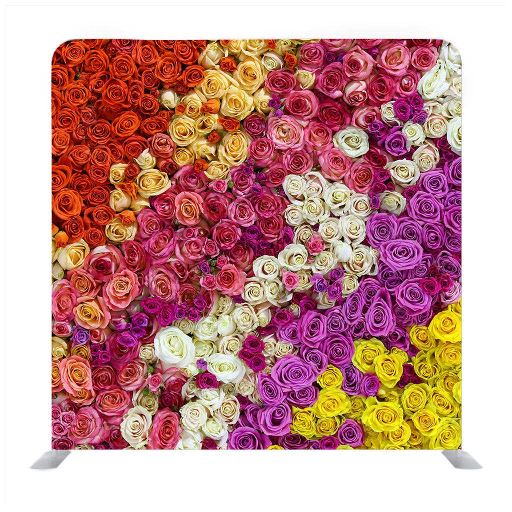 Colorful Roses Media Wall