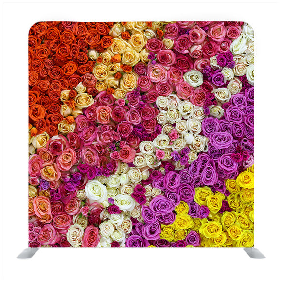 Colorful Roses Media Wall - Backdropsource