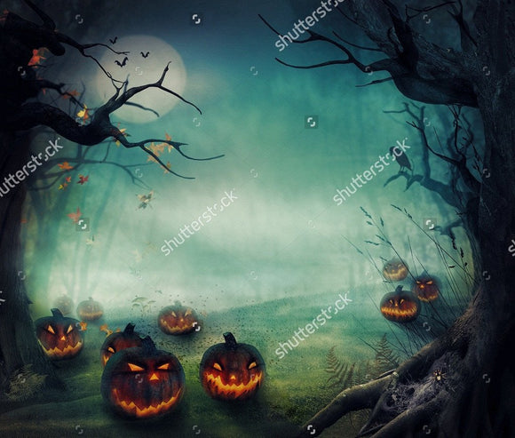 Forest Pumpkin with Spooky Tree  Backdrop - Backdropsource