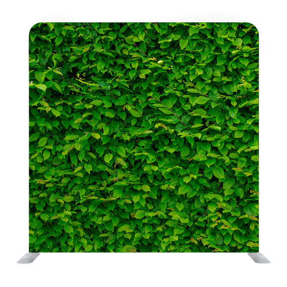 Green Leaves Media wall - Backdropsource