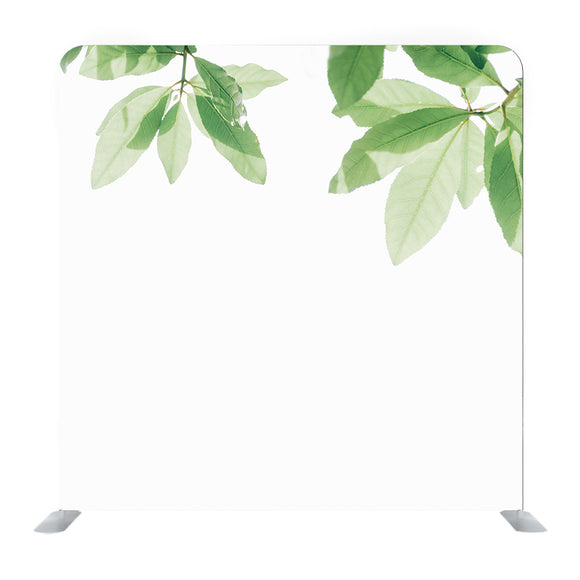 Green and White leaf Media wall - Backdropsource