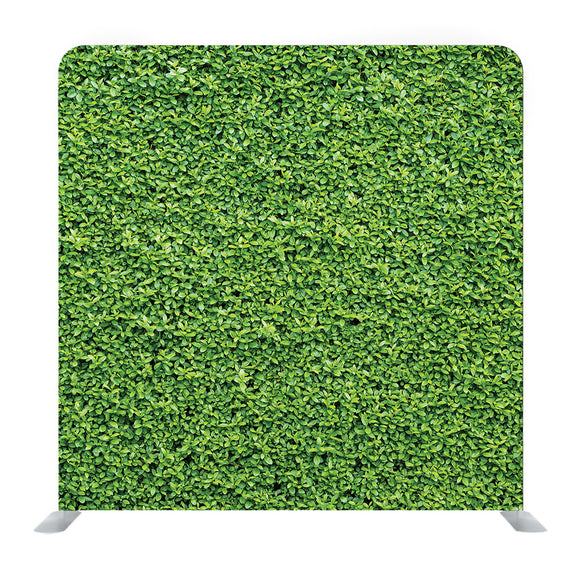 Green decorative Media wall - Backdropsource