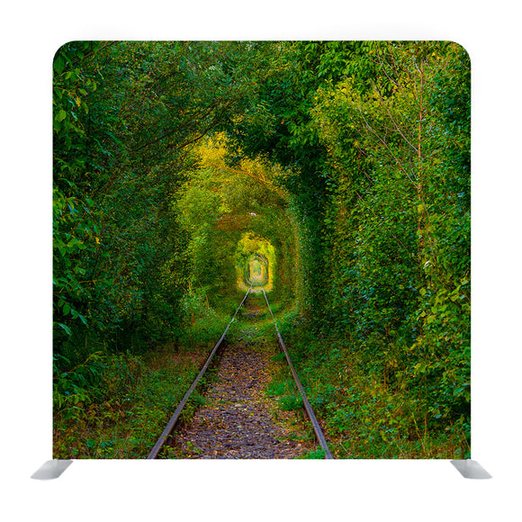 Green Tunner In The Forest Background Media Wall - Backdropsource
