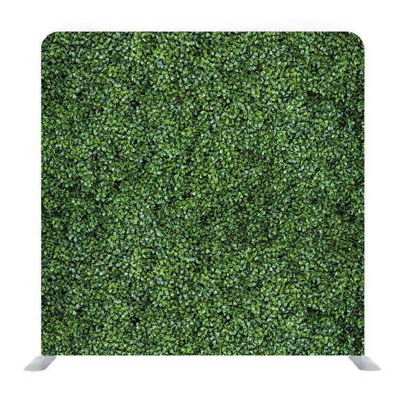 Greeny Wall decoration Media wall - Backdropsource