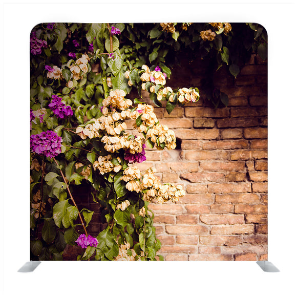 Growing Flowers On The Wall Media Wall - Backdropsource