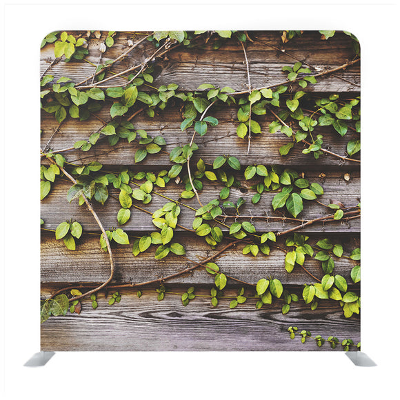 Growing Up Leaves On Wooden Wall Media Wall - Backdropsource