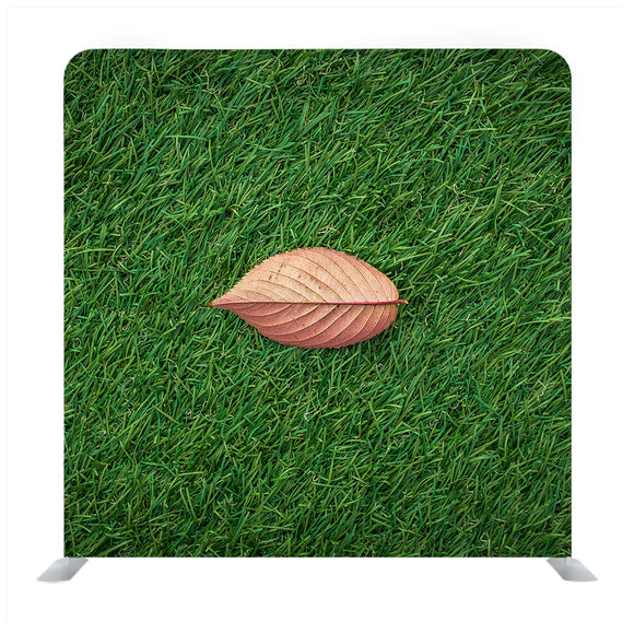 Leaf On Green Grass Backdrop - Backdropsource