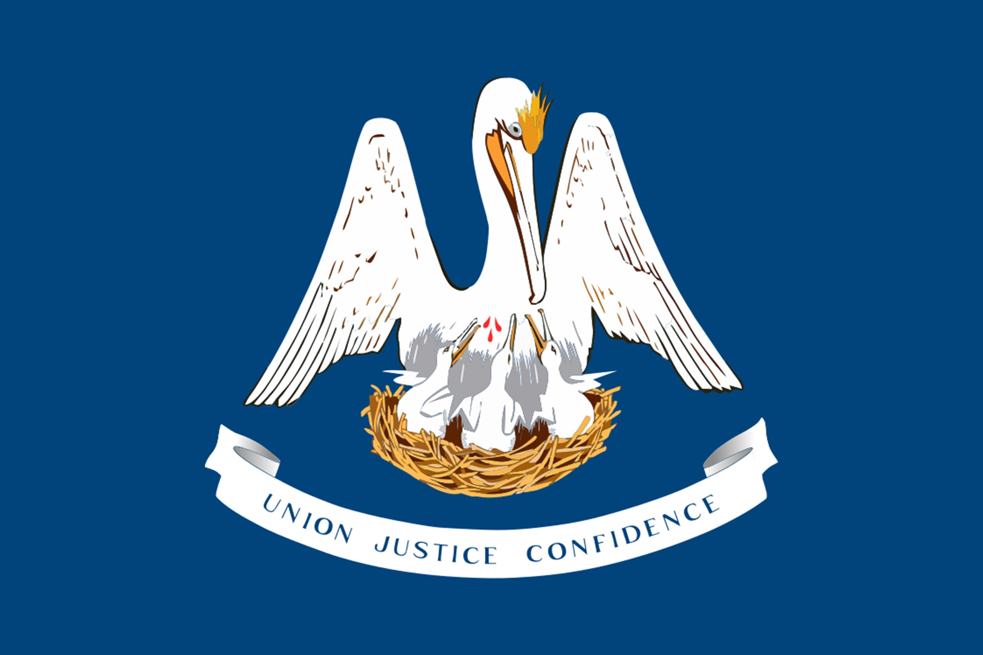 Louisiana State Flag - Backdropsource