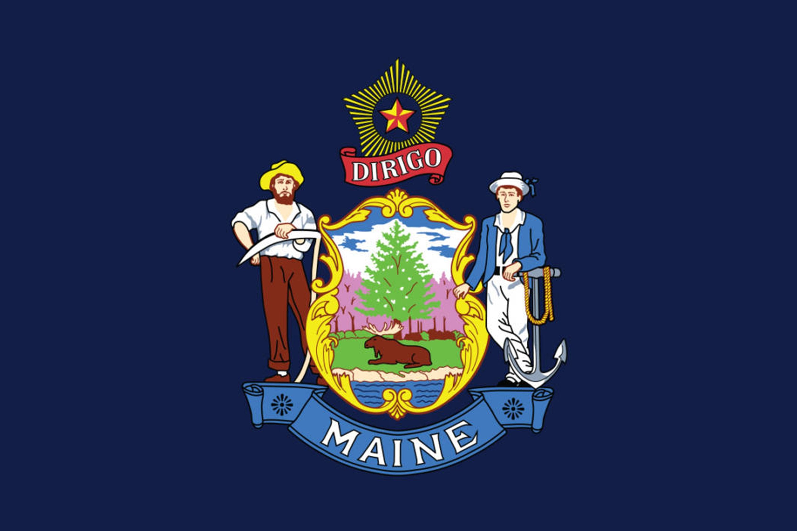 Maine State Flag - Backdropsource
