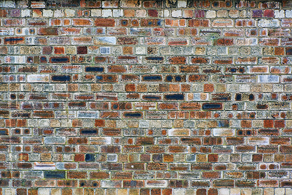 Multicolored Brick Wall Backdrop - Backdropsource