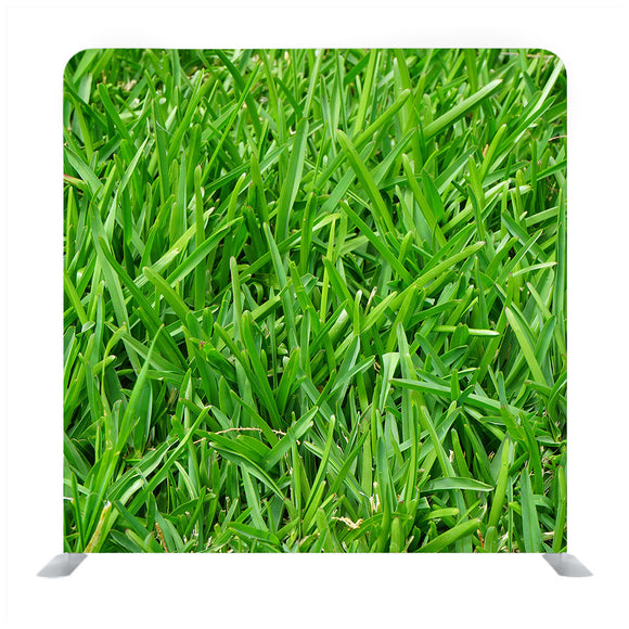 Natural Green Grass Backdrop - Backdropsource