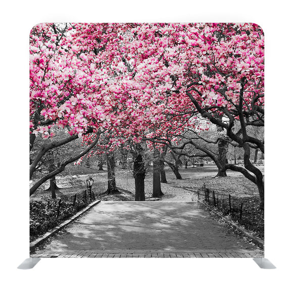 Pink Blossoms in Central Park Black and White Landscape Media Wall - Backdropsource
