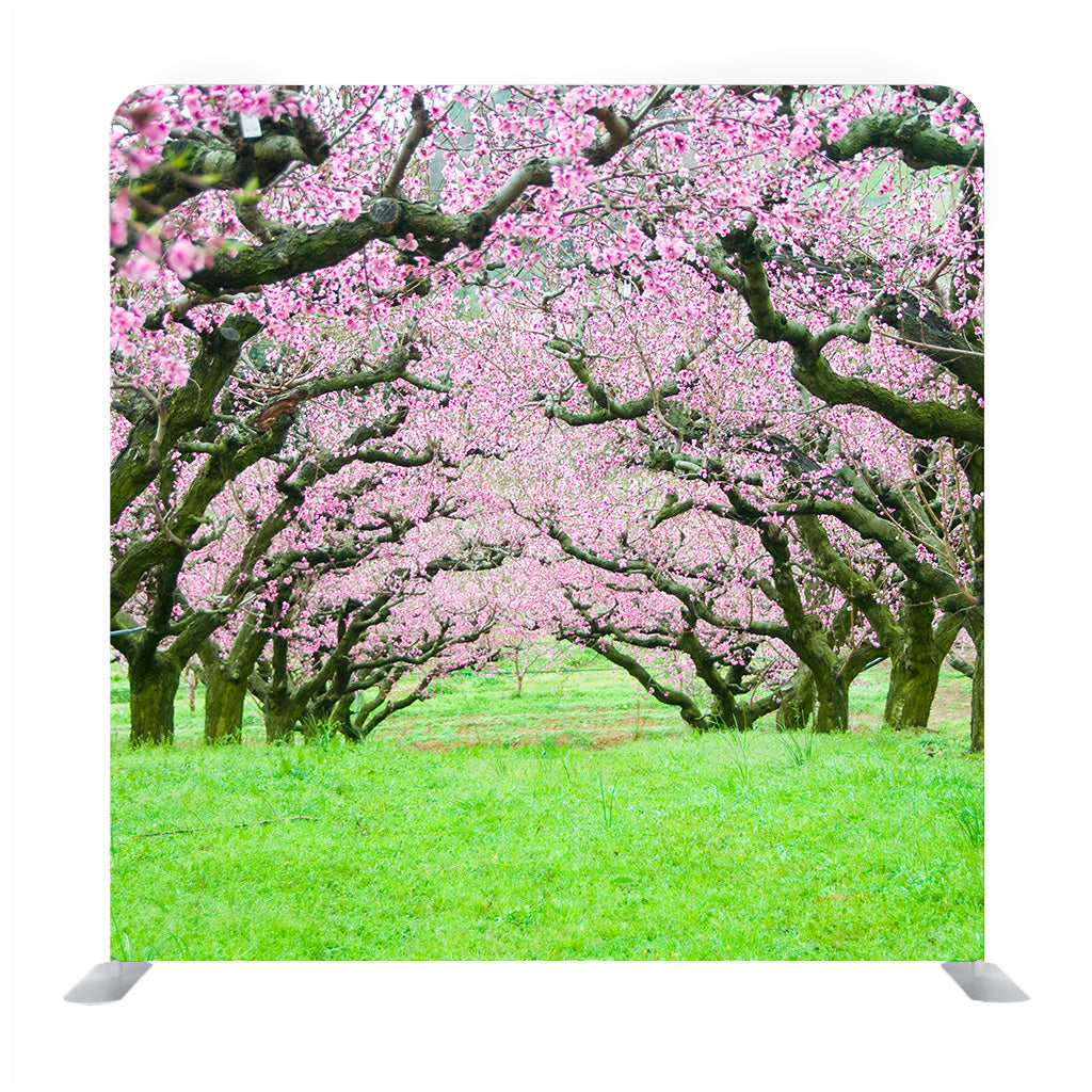 Pink Flowers Trees Tunnel Background Media Wall - Backdropsource