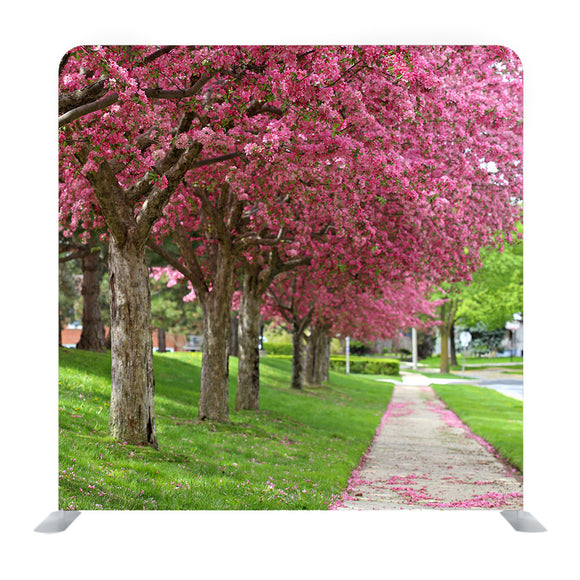 Pink leafed Media wall - Backdropsource