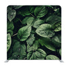 Raindrop on Green leaf Media wall - Backdropsource