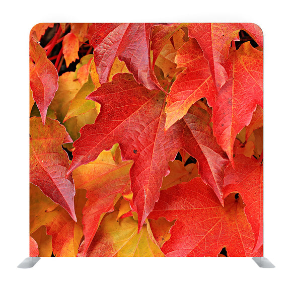 Red Autumn Leaves Media wall - Backdropsource