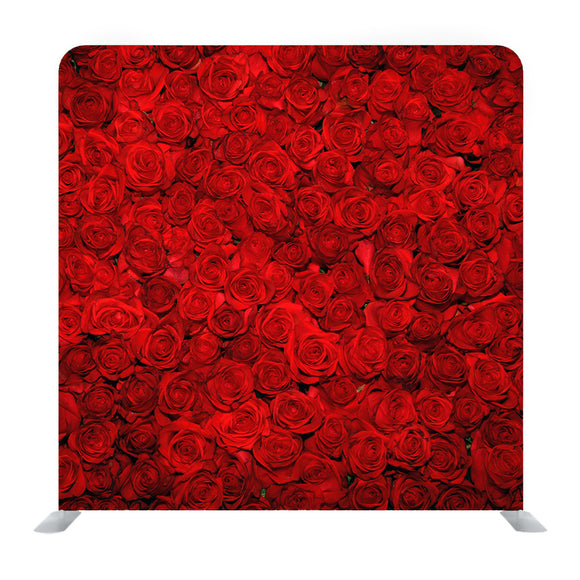 Red Roses Media wall - Backdropsource