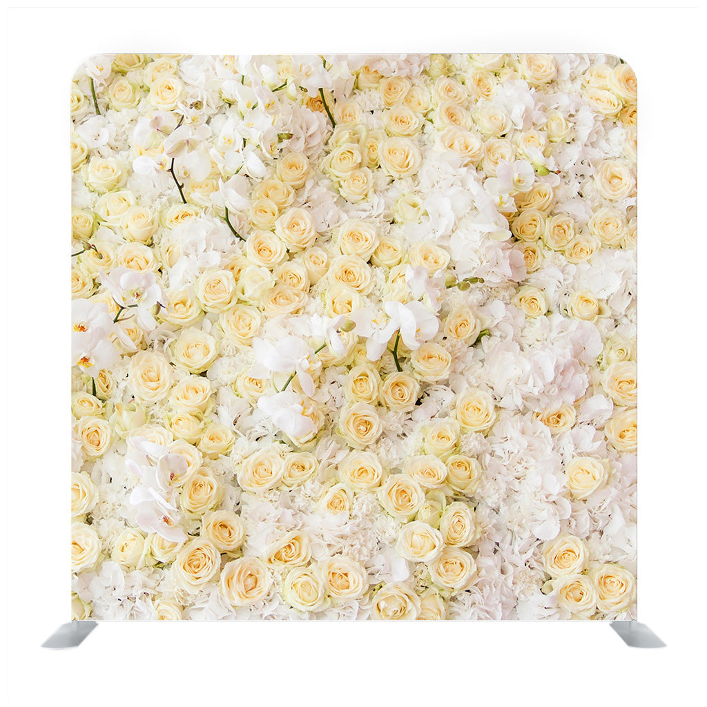 Rose Flowers Media Wall - Backdropsource