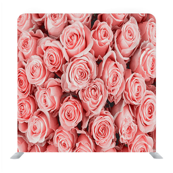 Rose Wall Background Media Wall - Backdropsource