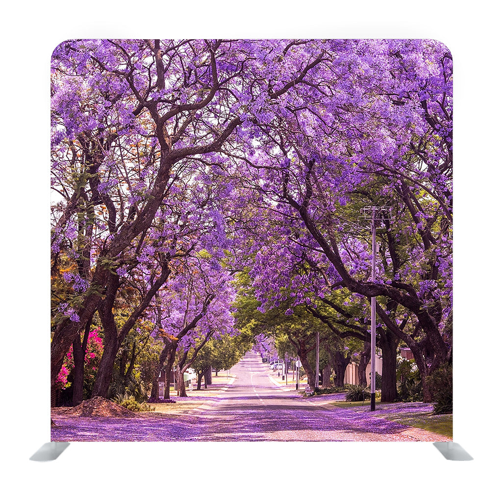 Stunning Alley With Wonderful Violet Vibrant Jacaranda In Bloom Background - Backdropsource