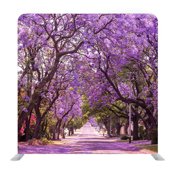 Stunning Alley With Wonderful Violet Vibrant Jacaranda In Bloom Background - Backdropsource