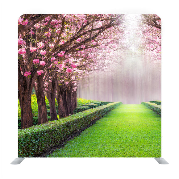 The Romantic And Beautiful Tunnel Of Pink Flower Tree, Pink Trumpet Tree Background Media Wall - Backdropsource