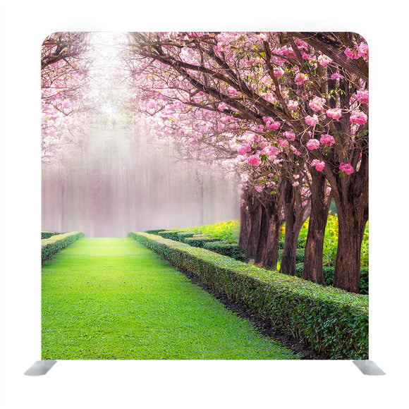 The Romantic Tunnel Of Pink Flower Tree Background Media Wall - Backdropsource