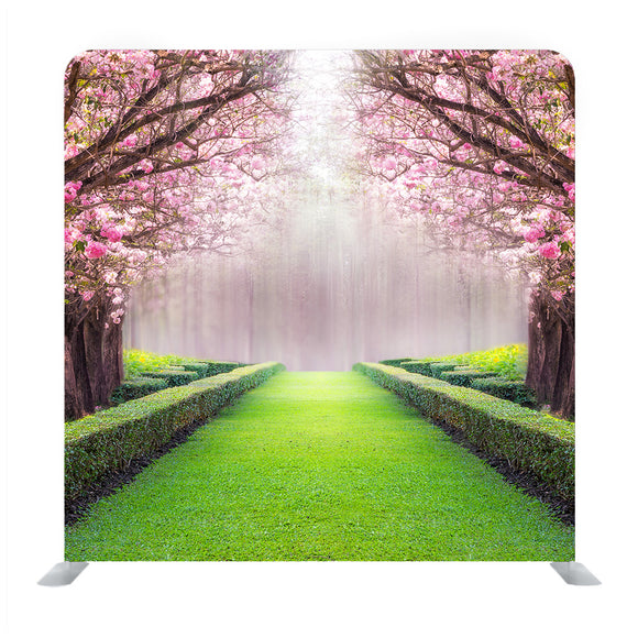 The Romantic Tunnel Of Pink Flower Tree Pink Trumpet Tree Background Media WAll - Backdropsource