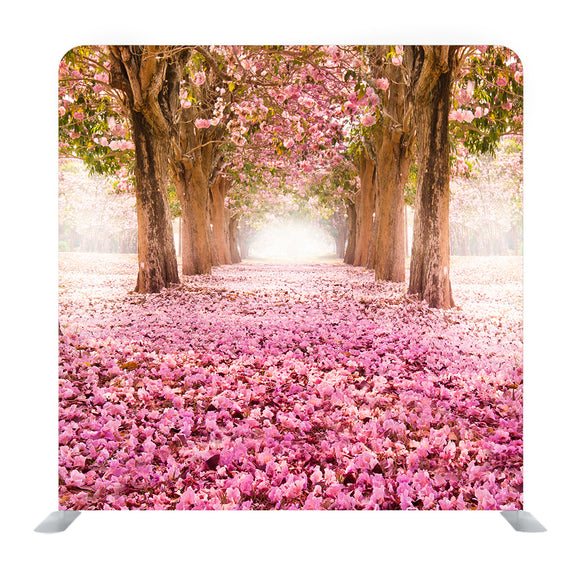 The Romantic Tunnel Of Pink Flower Trees Background Media Wall - Backdropsource
