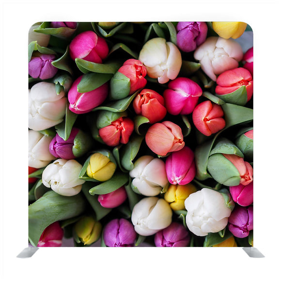 Tulip Flower Media wall - Backdropsource