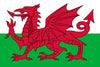 Wales Red Dragon Flag - Backdropsource