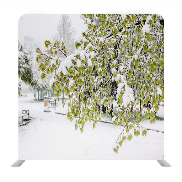 White Snow Covered Trees Media Wall - Backdropsource