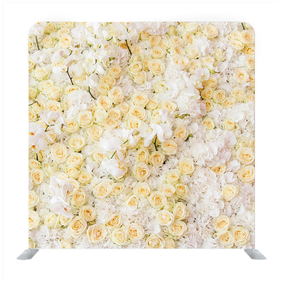 White chrysanthemum flower Media wall - Backdropsource