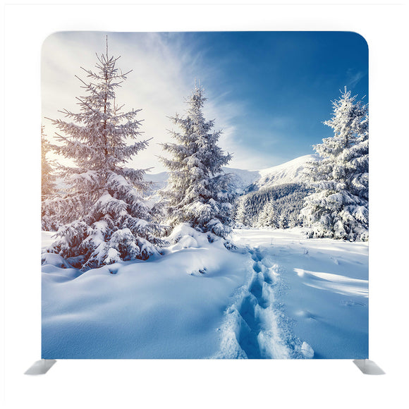 Winter Snow Trees Media Wall - Backdropsource