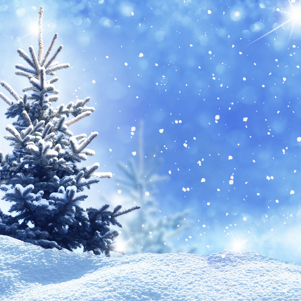 Winter Christmas Landscape Backdrop - Backdropsource